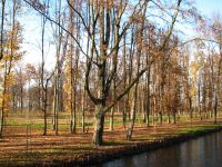 Breń - Jesień 2013