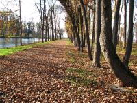 Breń - Jesień 2013